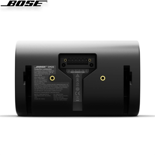 Loa Bose DesignMax DM2S 5